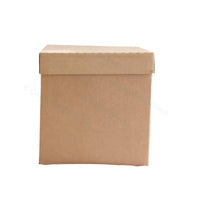 Eco Coolbox 400 x 300 x 300 mm (per 120 Stuks)