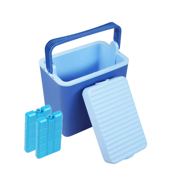 Koelbox 25L + 2 koelelementen