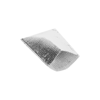 Koelenvelop 25 x 35 cm + plakstrip